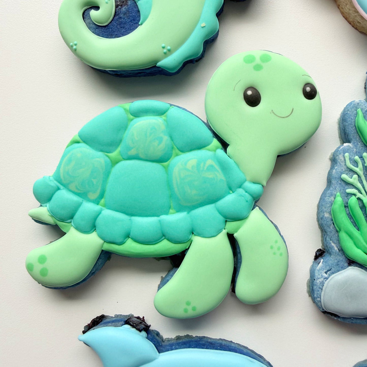 Sea Turtle