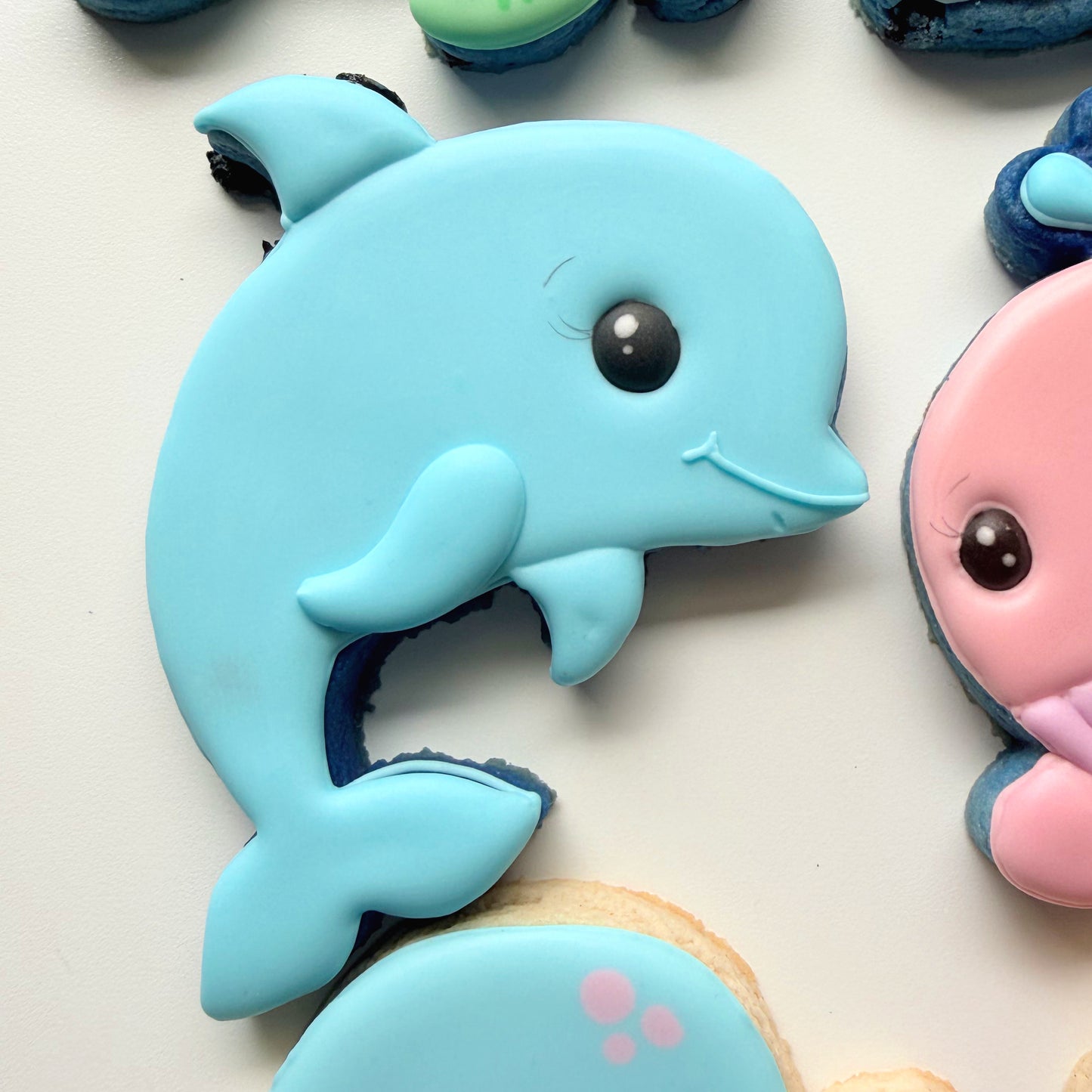 Dolphin