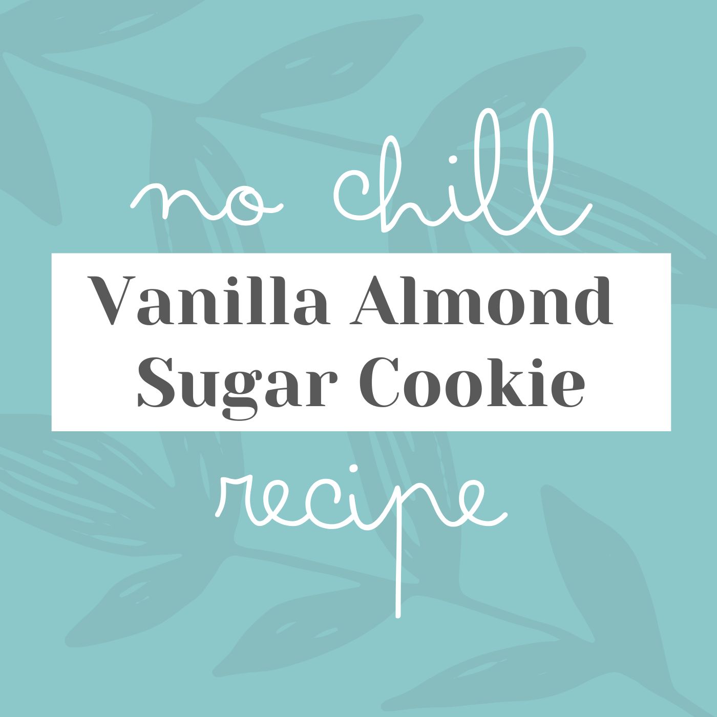 No Chill Vanilla Almond Sugar Cookie Recipe