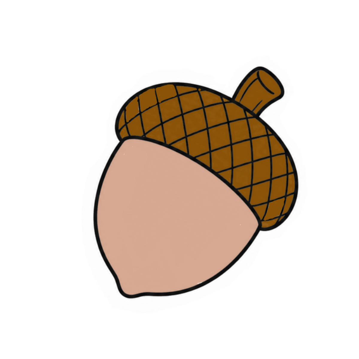 Acorn
